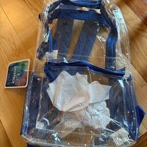 Clear backpack with blue